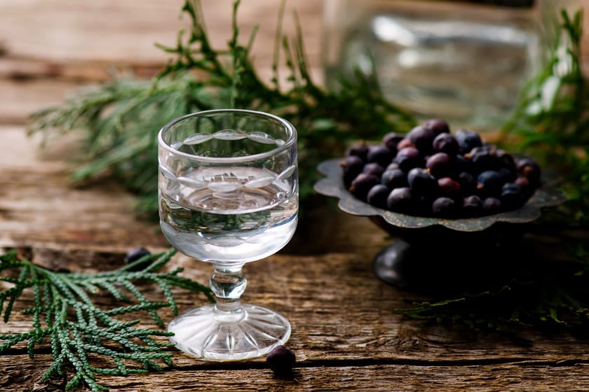 Gin-Verkostung zu Hause